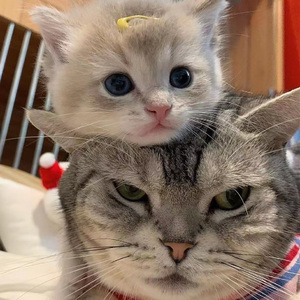 久久亚洲私人国产精品
